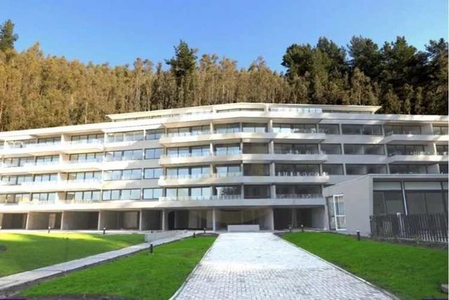 Catirai, San Pedro de la Paz. Hermoso Departamento, Amplio, Luminoso 3D, 2B, 2E