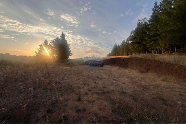 Venta de terreno,yumbel 5000 m2 ,rol propio