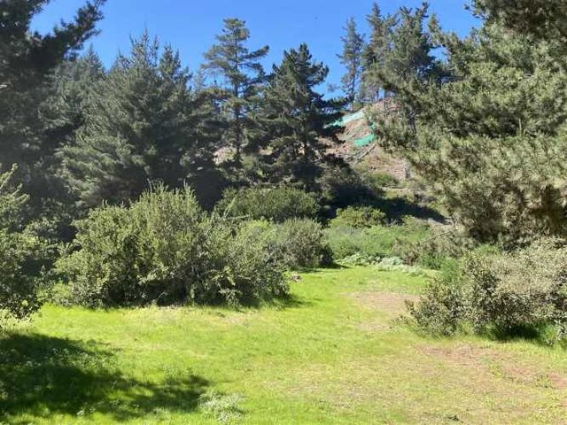 SITIO Hijuela Puertecillo Lote 163 Hacienda Topocalma