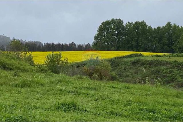 Proyecto las mercedes la unión