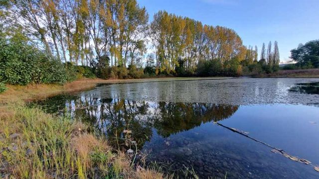 Venta de 3 Parcelas Exclusivas con Acceso al Río Calle Calle