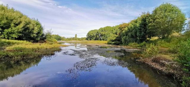 Venta de 3 Parcelas Exclusivas con Acceso al Río Calle Calle