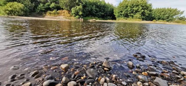 Venta de 3 Parcelas Exclusivas con Acceso al Río Calle Calle