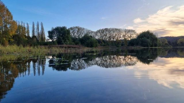 Venta de 3 Parcelas Exclusivas con Acceso al Río Calle Calle