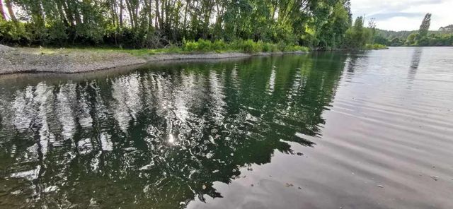 Venta de 3 Parcelas Exclusivas con Acceso al Río Calle Calle