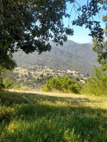 Gran oportunidad en Colliguay – Terreno de 10 hectáreas