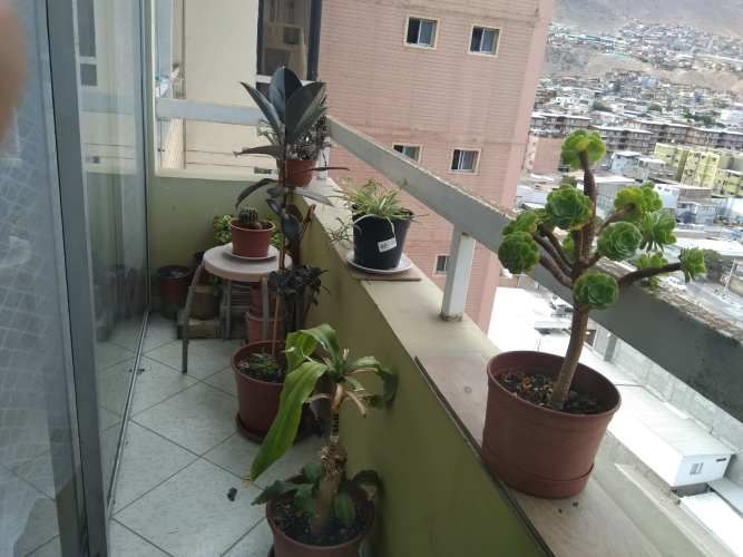 VENTA DEPARTAMENTO 3 DORMITORIOS CENTRAL