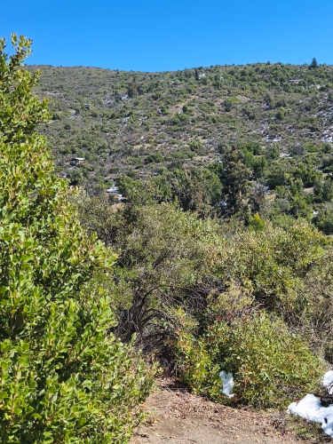 DOS HERMOSAS PARCELAS EN VENTA EN CALEU, TIL TIL