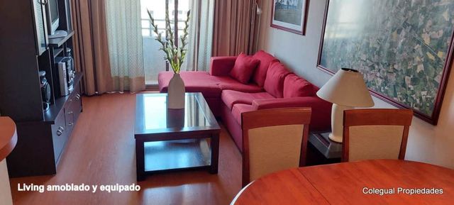 Full Amoblado Excelente 2d / 2b, Metro Bellas Artes
