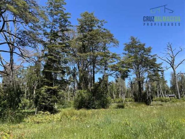 PARCELA Fundo Arthur, loteo con agua, electricidad, acceso Río Pescado y Lago Llanquihue, vista volcán Osorno