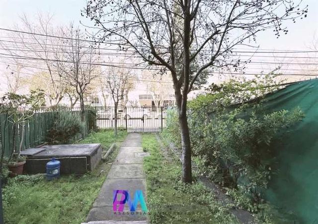 CASA el belloto con las sophoras