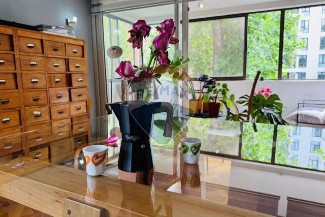 Gran departamento iluminado en ricardo lyon