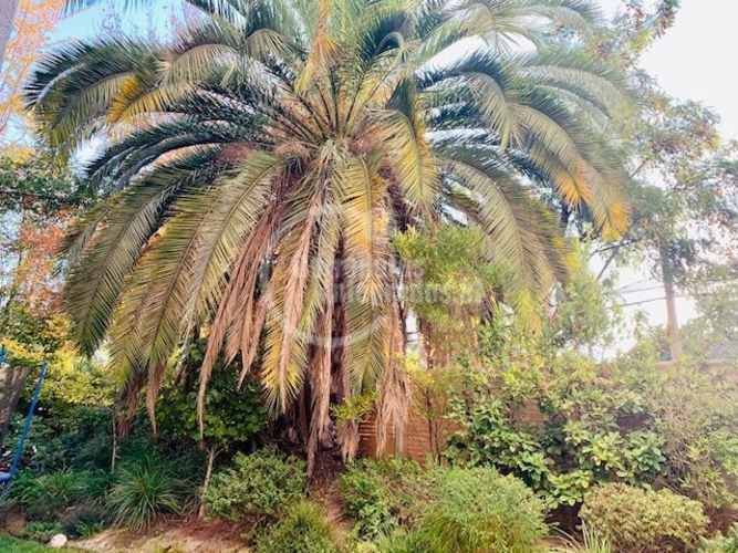 DEPARTAMENTO Pio XI / Las Hualtatas