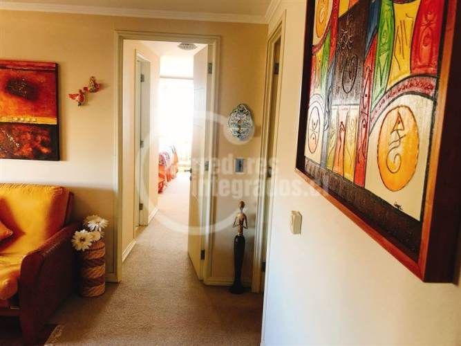 DEPARTAMENTO Bosques de Montemar 624