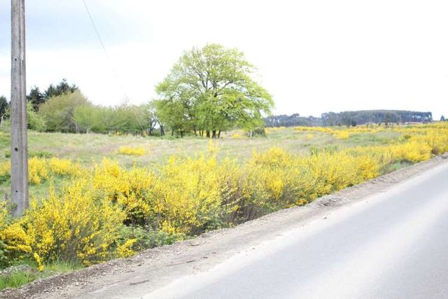 Loteo Fundo Puella camino al mar