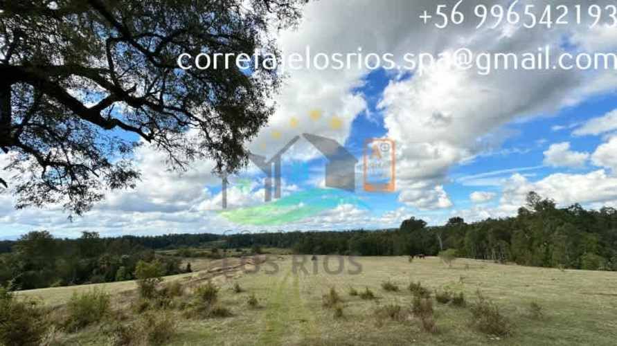 VENTAS DE PARCELA CHANCOYAN, VALDIVIA