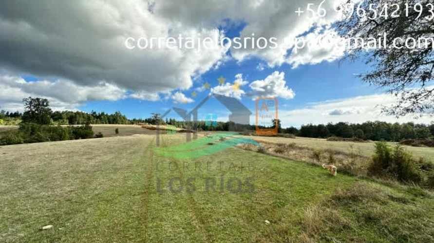 VENTAS DE PARCELA CHANCOYAN, VALDIVIA