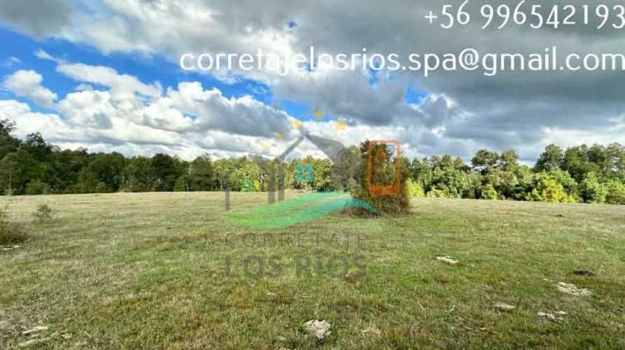 VENTAS DE PARCELA CHANCOYAN, VALDIVIA