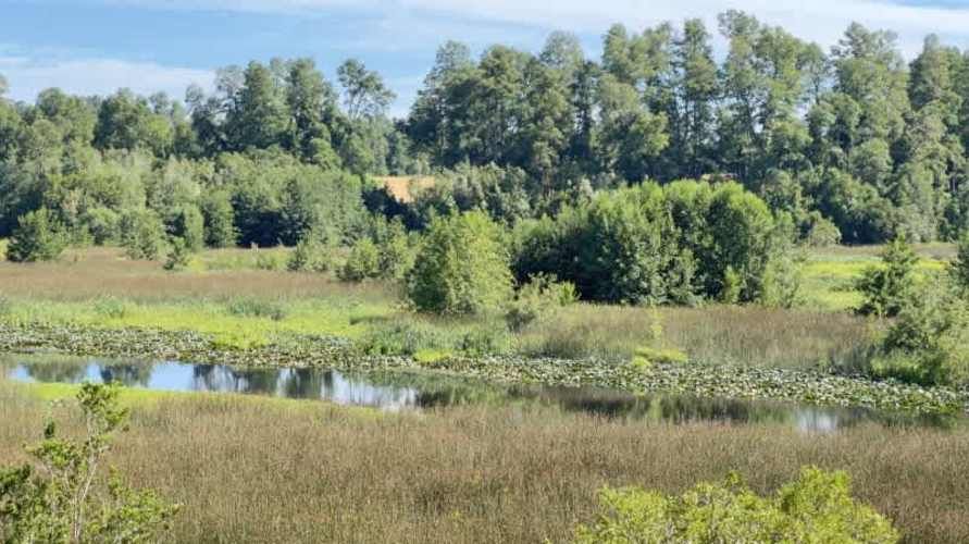 VENTAS DE PARCELA CHANCOYAN, VALDIVIA
