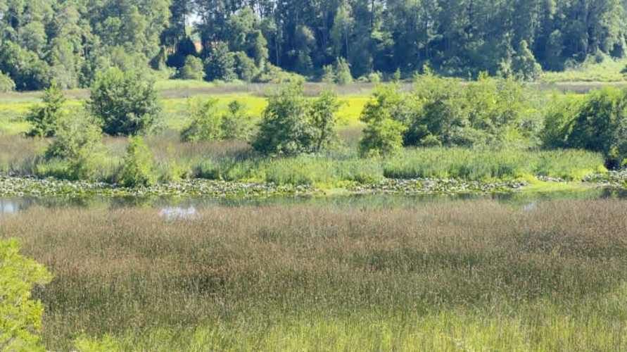 VENTAS DE PARCELA CHANCOYAN, VALDIVIA