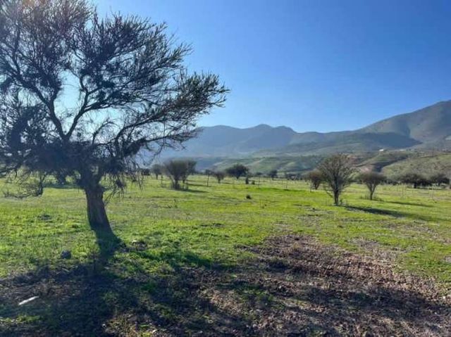 OPORTUNIDAD PARCELAS AGRO- RESIDENCIALES  OVALLE