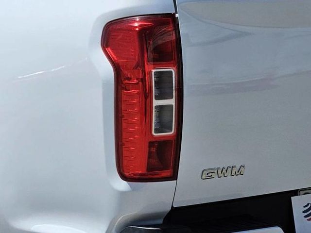 GREAT WALL POER 2022