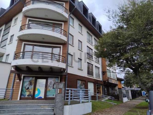 DEPARTAMENTO 1D1B CENTO DE PUCON