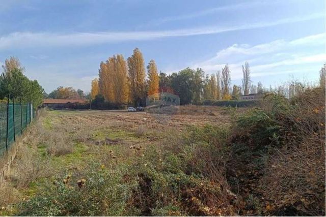 Lampa, cerca de carretera