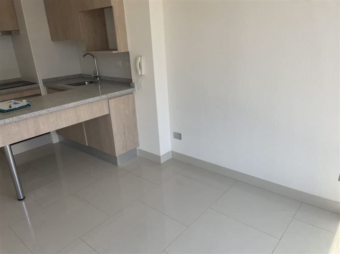 DEPARTAMENTO Sta. Isabel / Parque Almagro