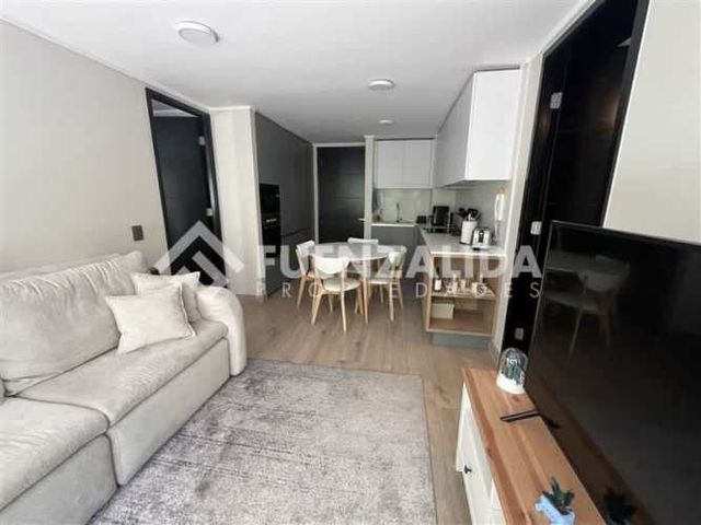 DEPARTAMENTO Los Leones