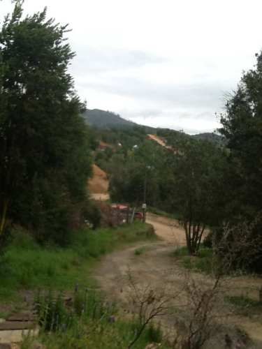 AMPLIA PARCELA CON CASA CONSTRUIDA ENTRE BOSQUES