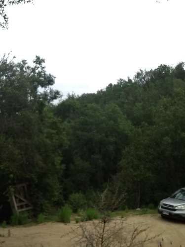 AMPLIA PARCELA CON CASA CONSTRUIDA ENTRE BOSQUES