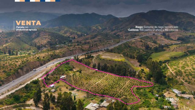 PARCELA CON CASA, PALTOS Y CITRICOS  CERCA DE MAITENCILLO