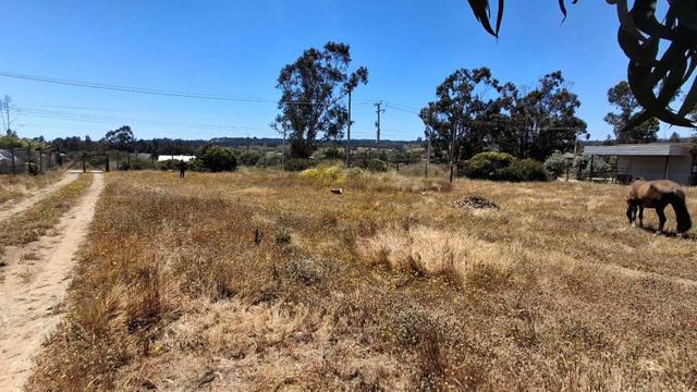 Lindos terrenos, superficie plana Algarrobo Norte