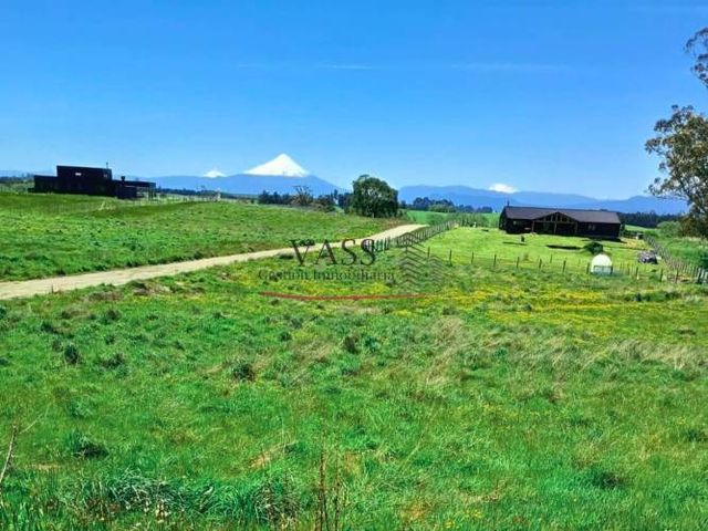 VASS vende parcela de 5.000 m² en Nueva Braunau, Puerto Varas