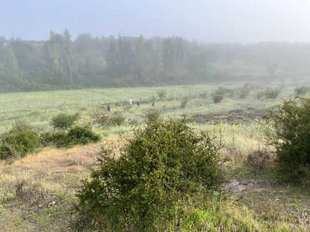 PARCELA EN VENTA EN CODIGUA PARCELACIÓN LAS AGUILA