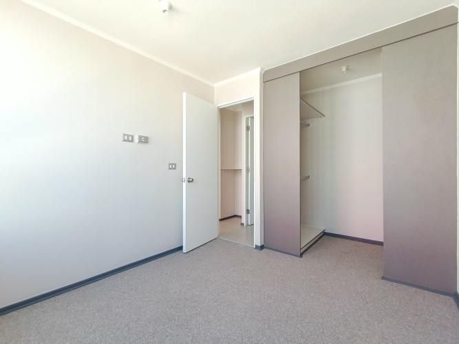 Pintor Cicarelli 278 [3067-3]