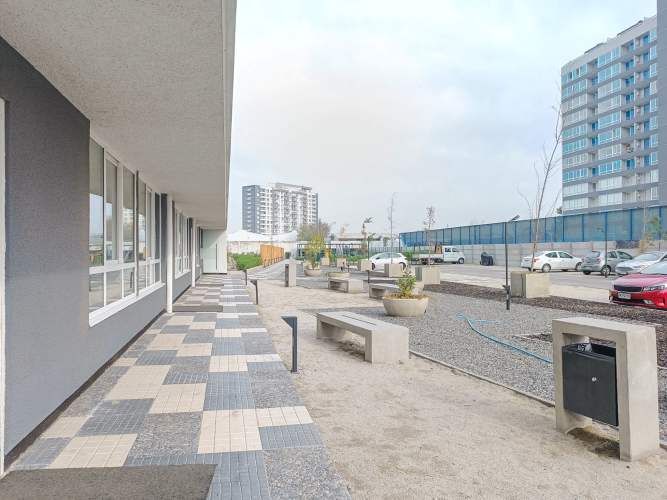 Pintor Cicarelli 278 [3067-3]