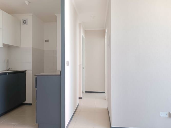 Pintor Cicarelli 278 [3067-3]