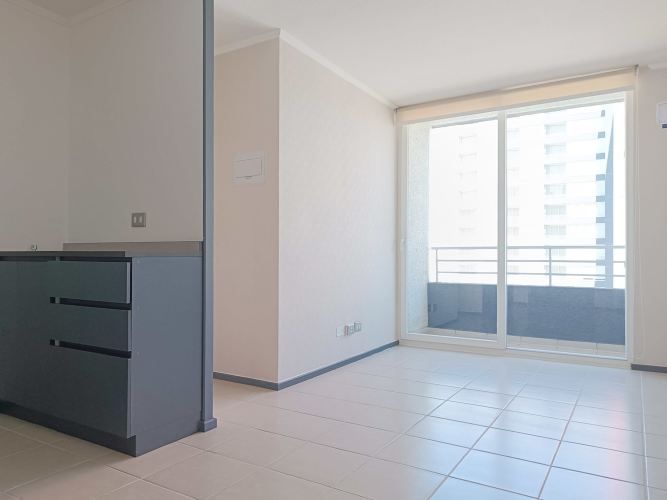 Pintor Cicarelli 278 [3067-3]