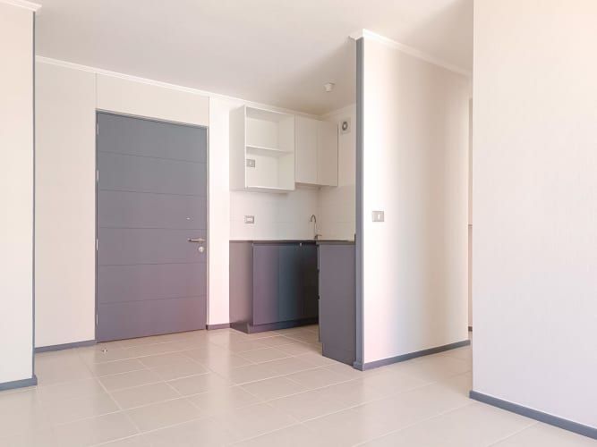 Pintor Cicarelli 278 [3067-3]