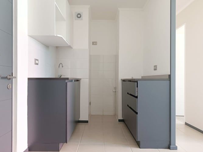 Pintor Cicarelli 278 [3067-3]