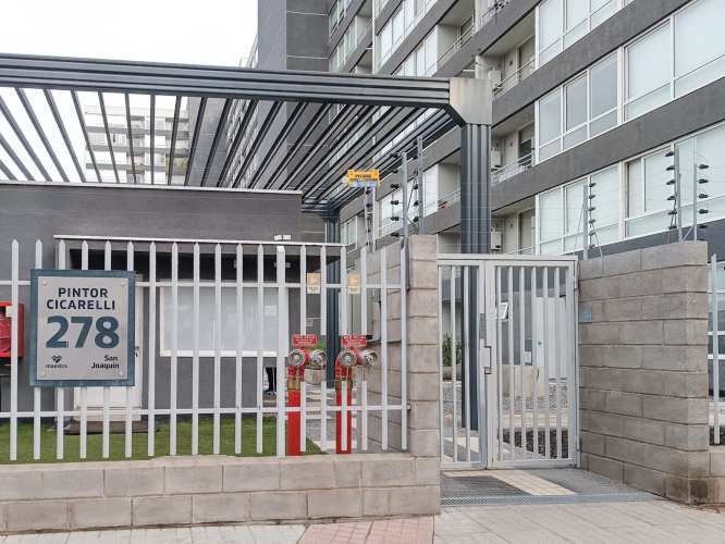 Pintor Cicarelli 278 [3067-3]