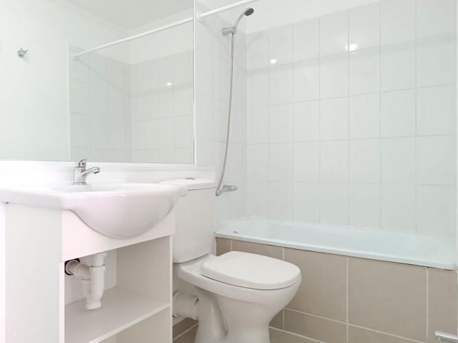 Pintor Cicarelli 278 [3067-3]