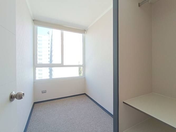 Pintor Cicarelli 278 [3067-3]