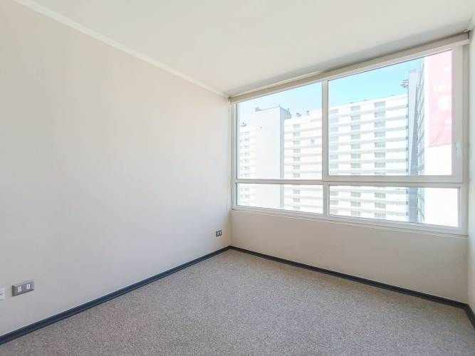 Pintor Cicarelli 278 [3067-3]