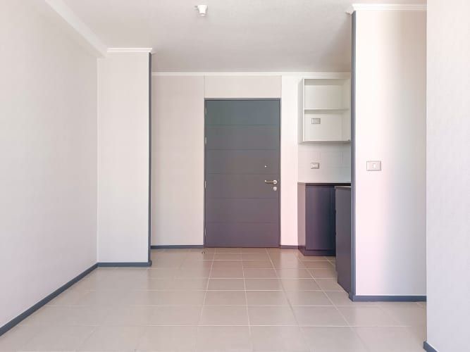 Pintor Cicarelli 278 [3067-3]