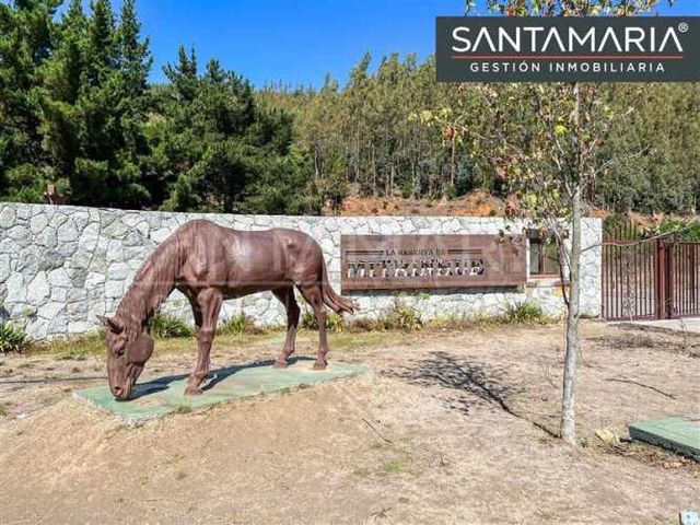 TERRENO CONSTRUCCION Mitrinhue, Camino a Santa Juana