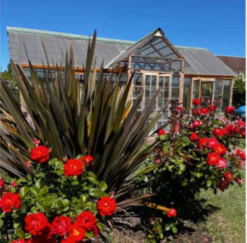 PARCELA El Ciruelo 1 LT. 15