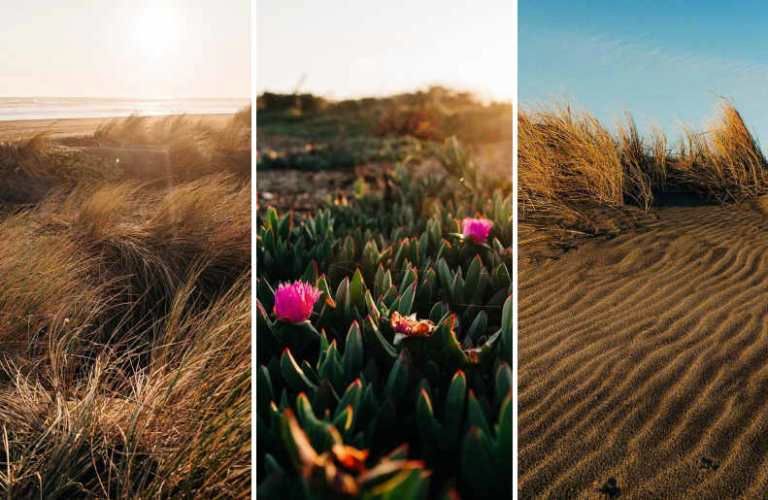 OTROS Playa de Villa Esperanza